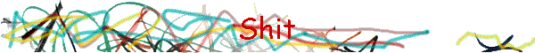Shit